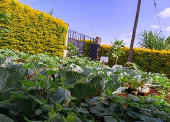 Second Garden View